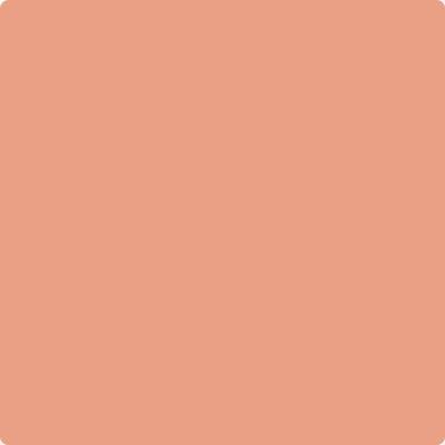 026 Coral Glow