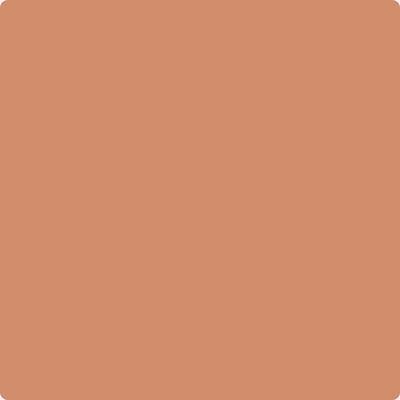 055 Pumpkin Patch