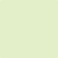 Benjamin Moore's 2031-60 Neon Celery Paint Color