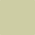 Benjamin Moore's 2145-40 Fernwood Green Paint Color