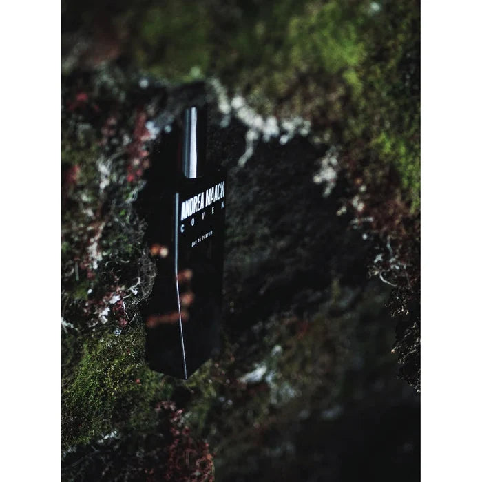 Coven by Andrea Maack
