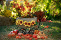 Digital Backdrop
