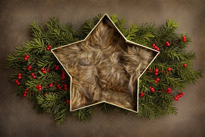 Digital Backdrop