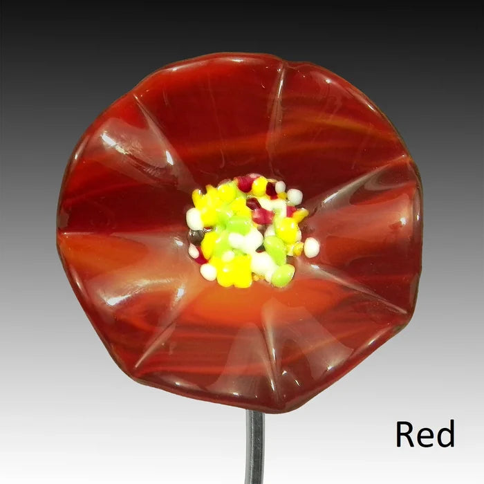 Doug Picotte - Forever Spring Flowers - Glass Display Flowers (Assorted Designs)