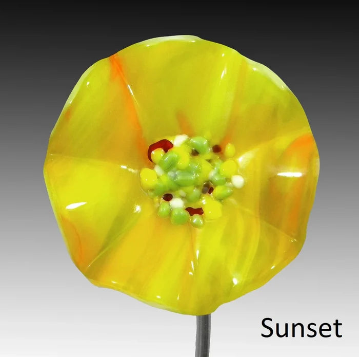 Doug Picotte - Forever Spring Flowers - Glass Display Flowers (Assorted Designs)