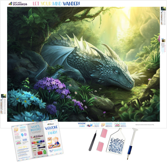 Dragon's Dream in the Mystic Valley