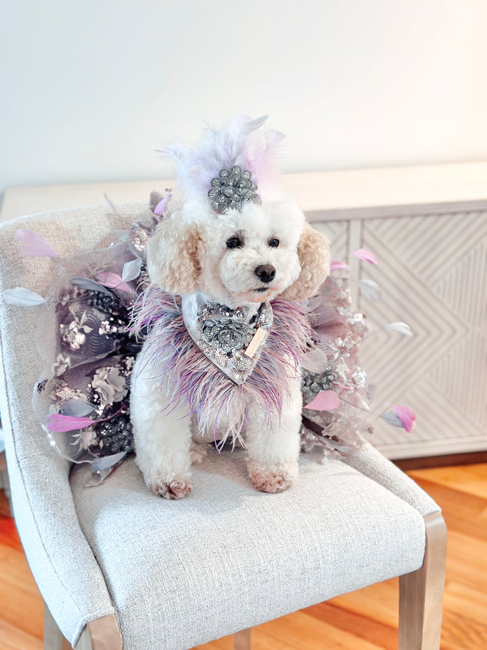 Haute Couture Birthday Collection: Sequin Serenade