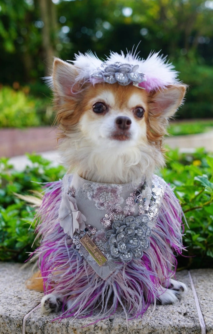 Haute Couture Birthday Collection: Sequin Serenade