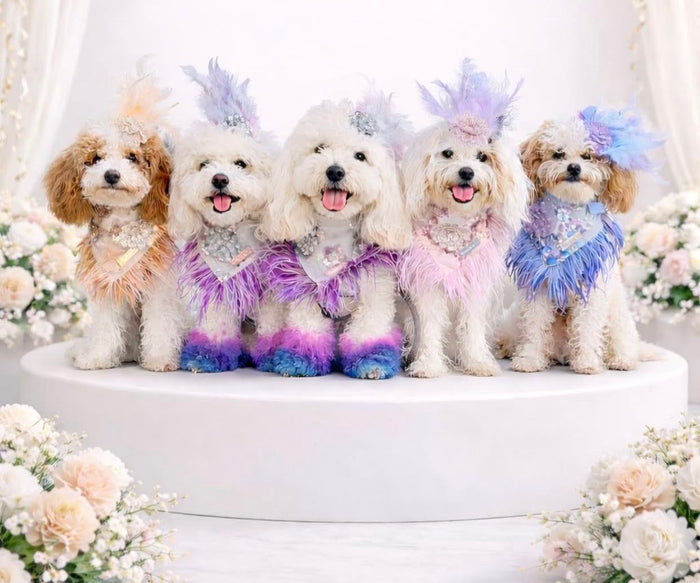 Haute Couture Birthday Collection: Sequin Serenade