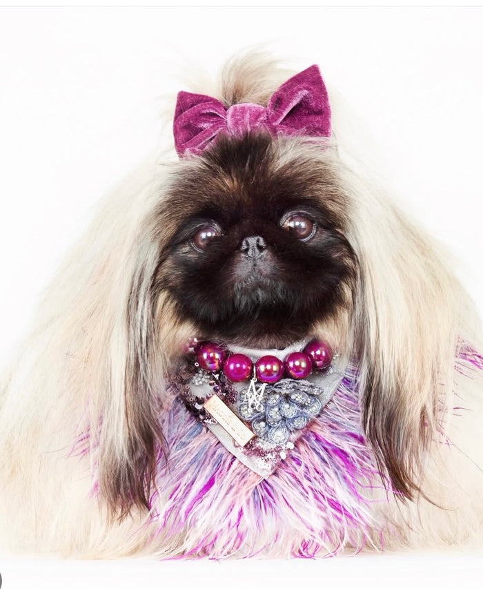 Haute Couture Birthday Collection: Sequin Serenade