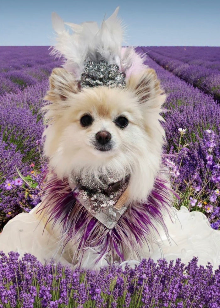 Haute Couture Birthday Collection: Sequin Serenade