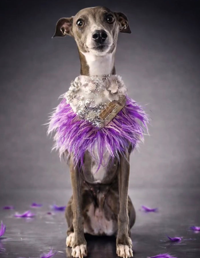 Haute Couture Birthday Collection: Sequin Serenade