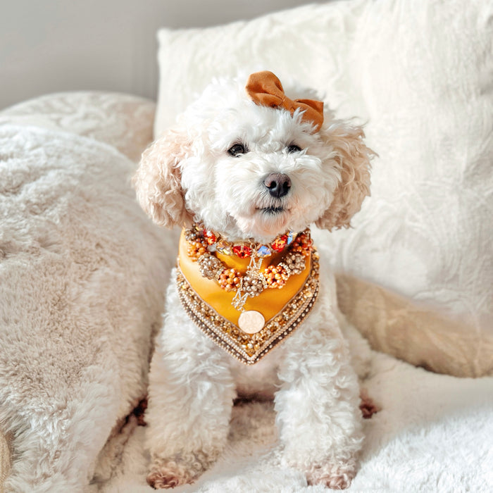 Necklace: Baisée de Soleil (Signature Birthday Collection)