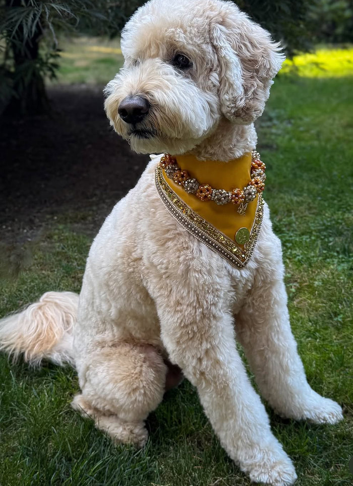 Necklace: Baisée de Soleil (Signature Birthday Collection)