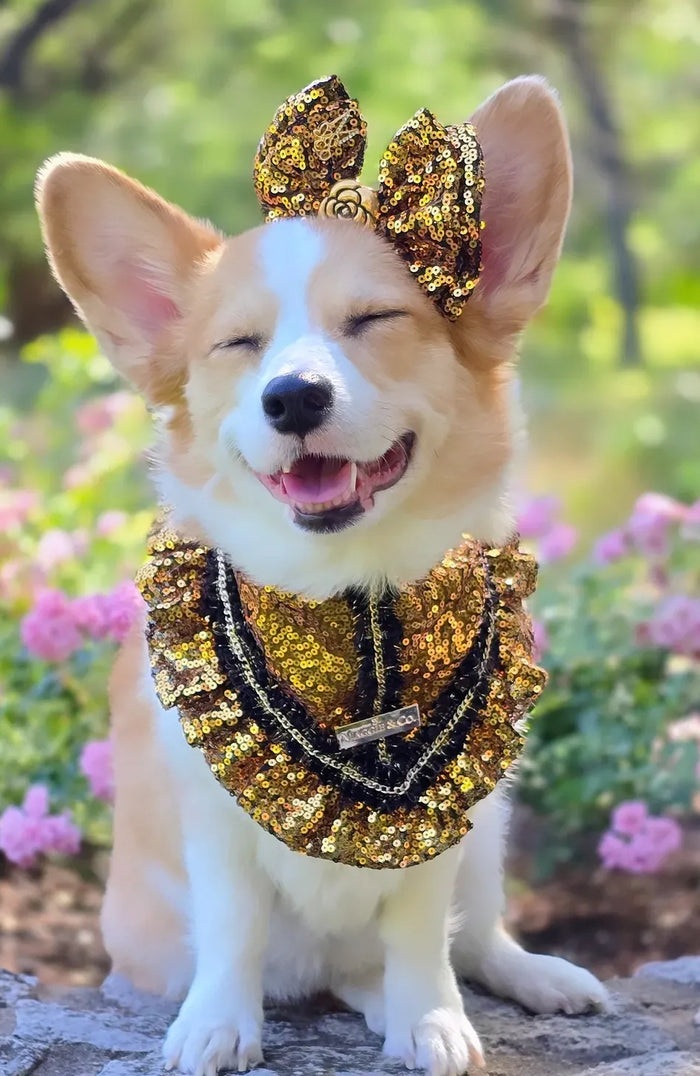 Signature Sequins: Pot of Gold