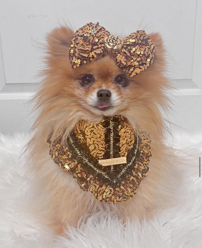 Signature Sequins: Pot of Gold