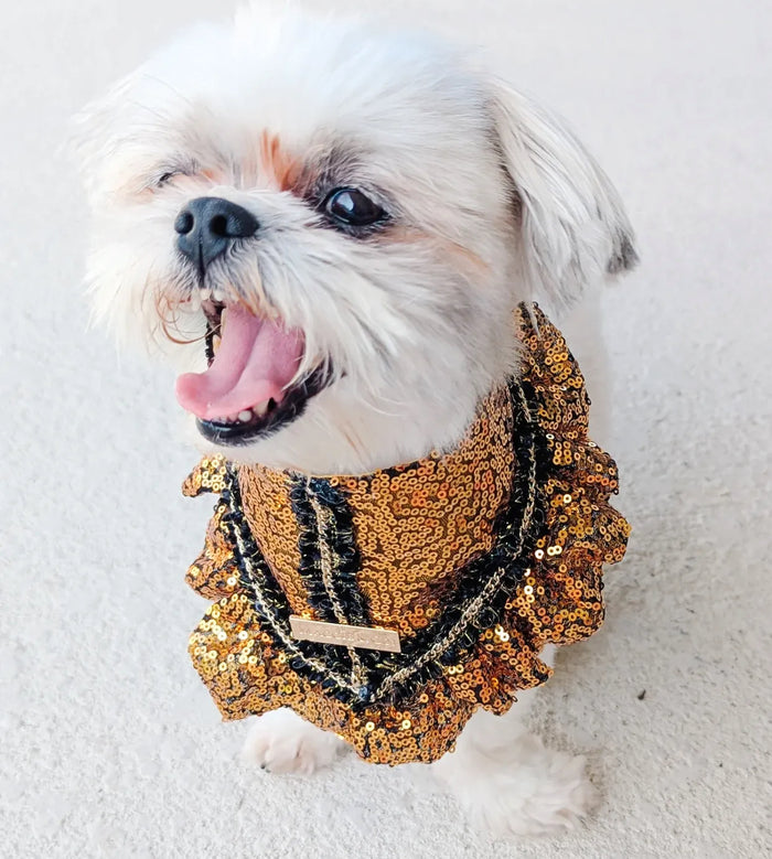 Signature Sequins: Pot of Gold