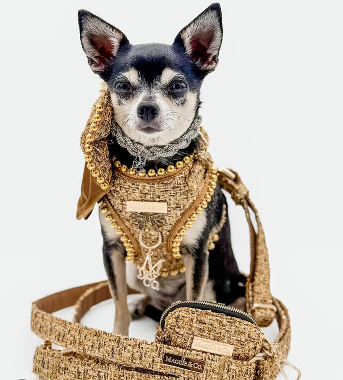 Signature Tweed: The Bruno