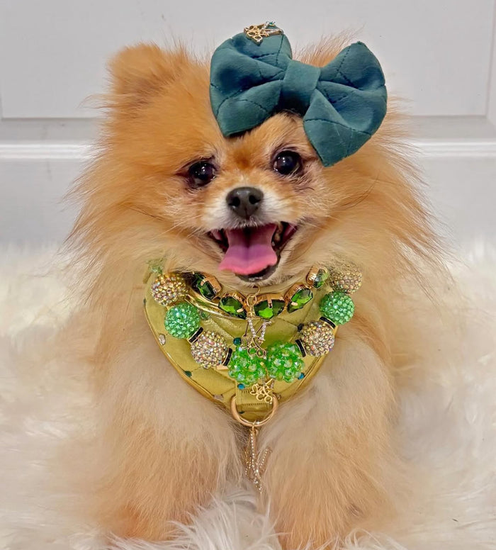 St Patty’s Day necklace