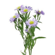 DIY wedding flowers | Cheap wedding bouquet | DIY wedding bouquet | For sale wedding flowers | DIY flower centerpieces | DIY wedding centerpieces | DIY cheap | Cheap florist Louisville KY | Wedding florist Louisville KY | Wedding florist near me | Florist near me