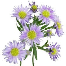 DIY wedding flowers | Cheap wedding bouquet | DIY wedding bouquet | For sale wedding flowers | DIY flower centerpieces | DIY wedding centerpieces | DIY cheap | Cheap florist Louisville KY | Wedding florist Louisville KY | Wedding florist near me | Florist near me