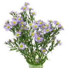 DIY wedding flowers | Cheap wedding bouquet | DIY wedding bouquet | For sale wedding flowers | DIY flower centerpieces | DIY wedding centerpieces | DIY cheap | Cheap florist Louisville KY | Wedding florist Louisville KY | Wedding florist near me | Florist near me