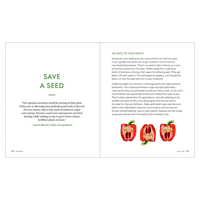 The Kaufmann Mercantile Guide - bubblegum market