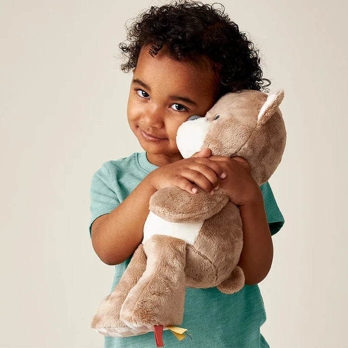 Theo the Sweetie Teddy Bear