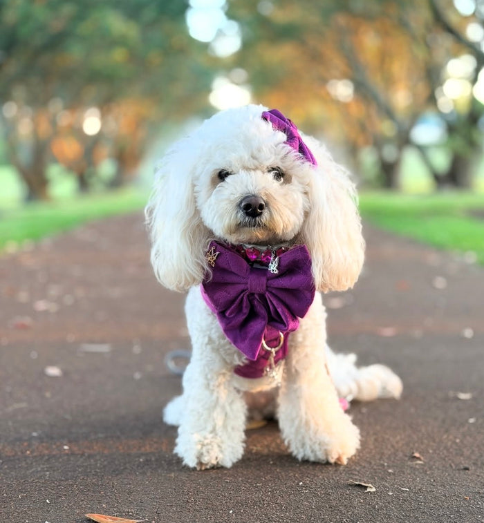 Velvet: Royal Orchid Sailor Bow